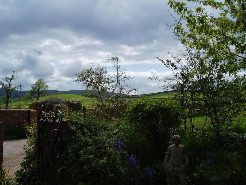 Bed and Breakfast Catwell House Williton Номер фото