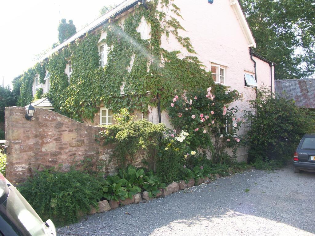 Bed and Breakfast Catwell House Williton Экстерьер фото